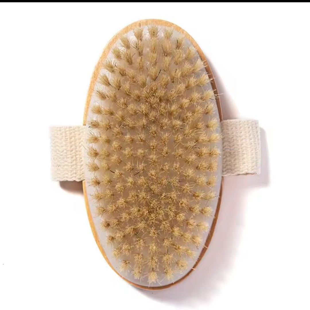 Natural Bristle Body Brush ( Wet & Dry) Exfoliation