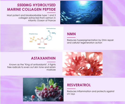 Kinohimitsu-Collagen Diamond Pro – 2 months usage-Skin Glowing / Firming / Anti-Aging / Wrinkles x2 boxes-30 sachets