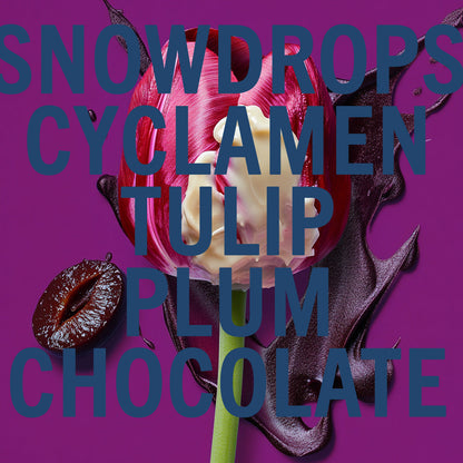 Black Tulip Fragrance 100ml