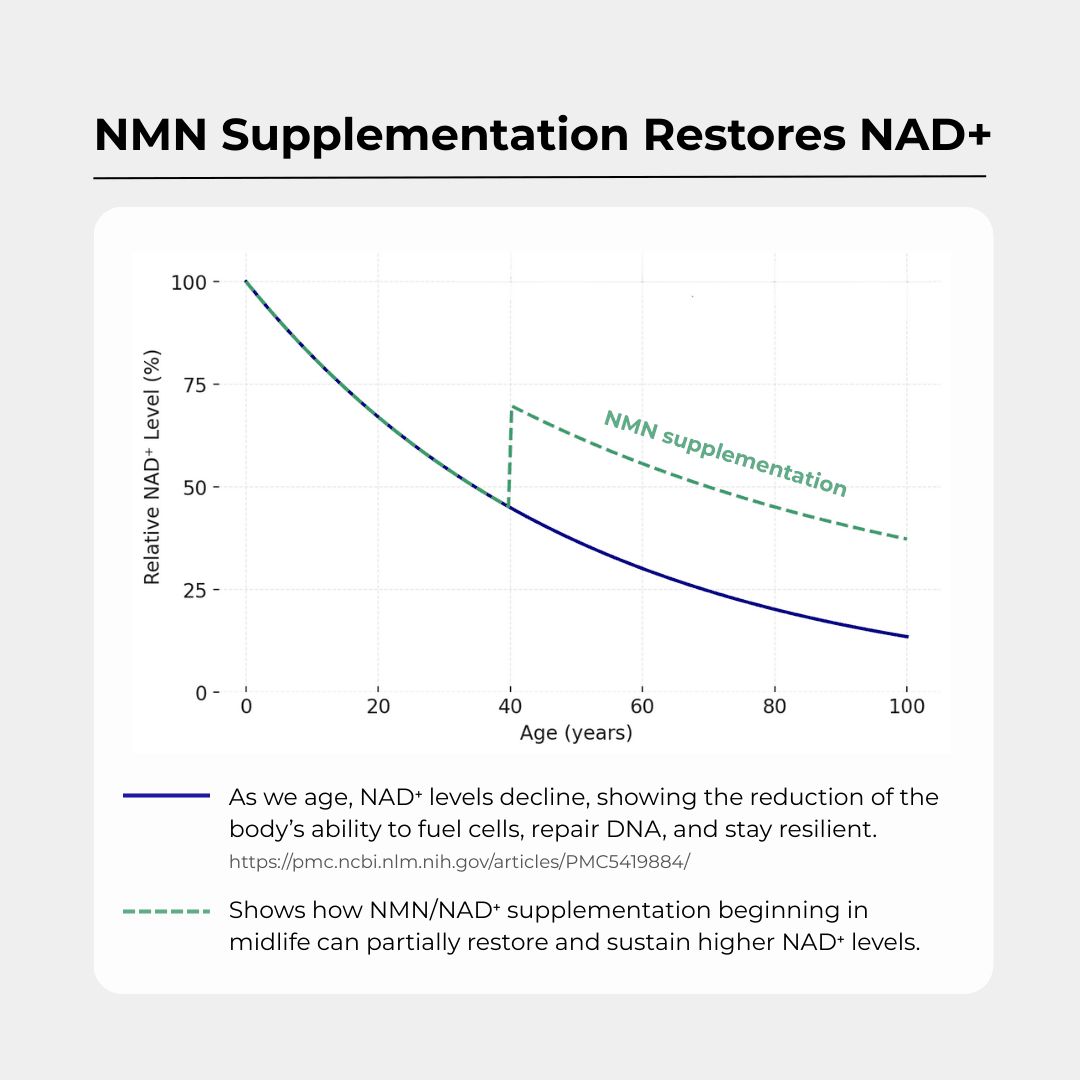 NMN+1200 (NMN, Resveratrol, Pterostilbene)