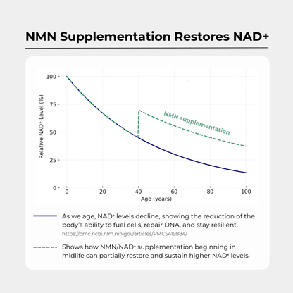 NMN+1200 (NMN, Resveratrol, Pterostilbene)
