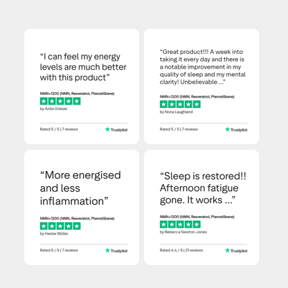 NMN+1200 (NMN, Resveratrol, Pterostilbene)